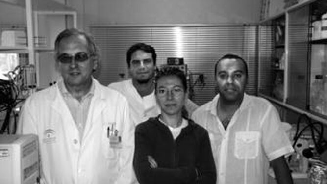 El grupo de investigación del Laboratorio de Investigación Cardiovascular del Hospital Virgen del Rocío.