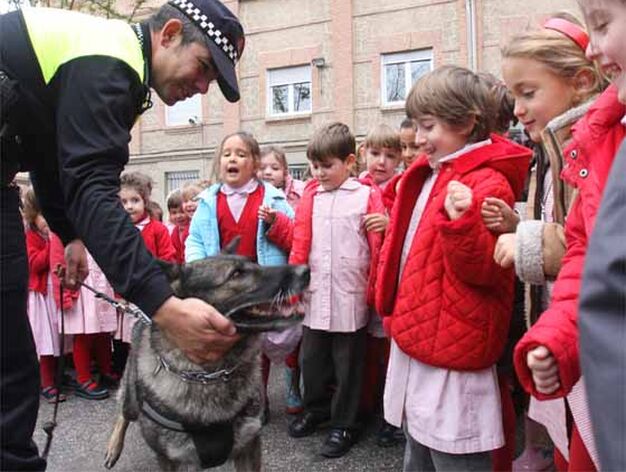 C&oacute;mo los perros de la Polic&iacute;a Local de Granada detectan la droga en los colegios
