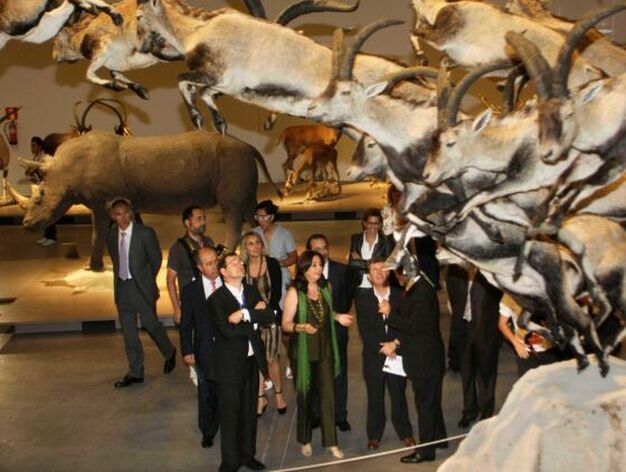 En la nueva exposici&oacute;n del Parque de las Ciencias de Granada se muestra un total de 112 grandes mam&iacute;feros conservados mediante el arte de la taxidermia.

Foto: Inma Mart&iacute;nez