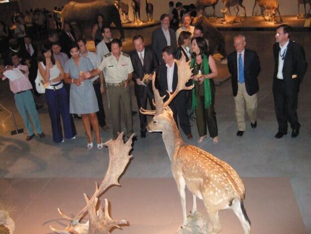 En la nueva exposici&oacute;n del Parque de las Ciencias de Granada se muestra un total de 112 grandes mam&iacute;feros conservados mediante el arte de la taxidermia.

Foto: Inma Mart&iacute;nez
