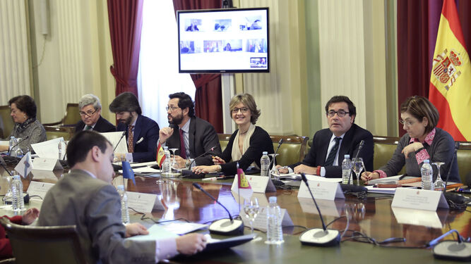 La ministra de Agricultura, Isabel García Tejerina, en el Consejo Consultivo.