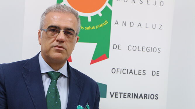 El presidente del Colegio Andaluz de Colegios de Veterinarios, en la sede de la institución.