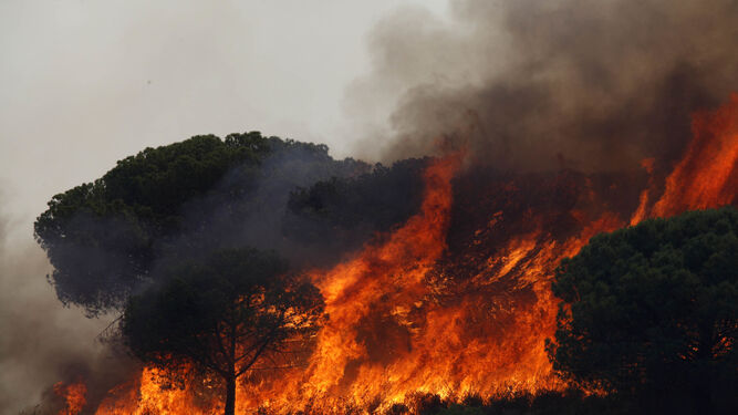 Las imágenes del incendio en Ayamonte