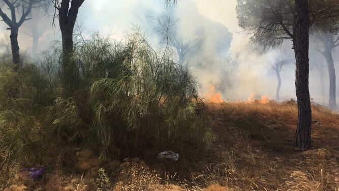 Bomberos intervienen en un incendio en el Parque Natural de la Breña.