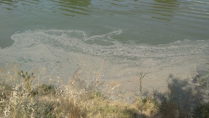 Una mancha de aceite se propaga por la dársena del río
