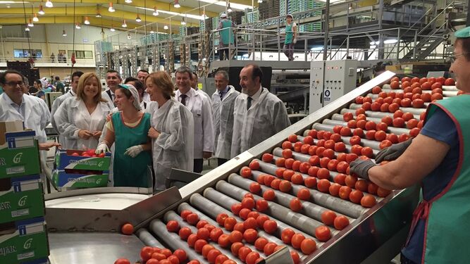 La verdura granadina mas demanda en países extranjeros es el tomate.