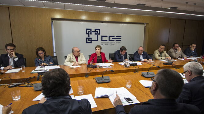 Los delegados de la Junta presentaron ayer los presupuestos a la CGE.