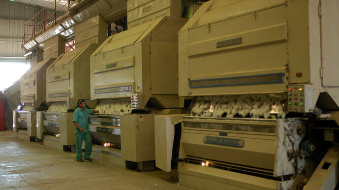 En el sector del algodón, de gran importancia en Andalucía, hay gran interés por constituir las EAPA.