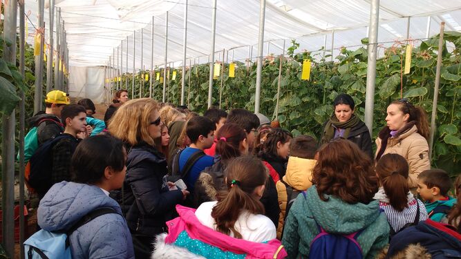 Los escolares participan en la visita organizada por la Caja Rural de Granada.