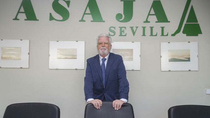 El presidente de Asaja Sevilla lamenta los problemas de la aceituna por los aranceles impuestos en Estados Unidos.