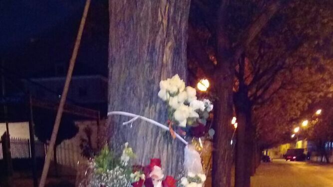 Los vecinos han llevado flores y velas al árbol donde el joven estrelló su coche.