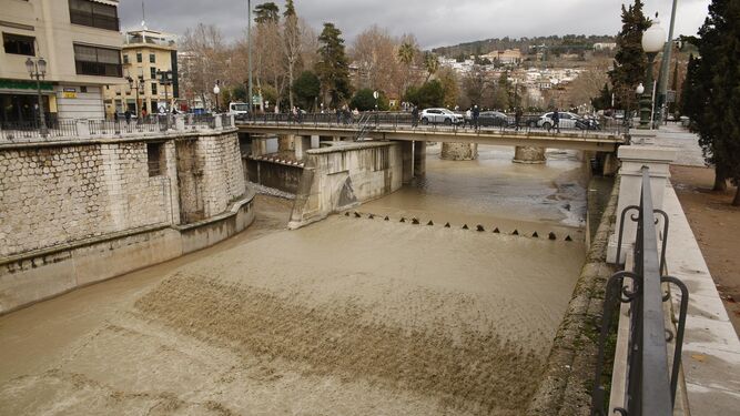 Desbordamiento del Río Genil a su paso por la capital tras las lluvias torrenciales de la última semana.
