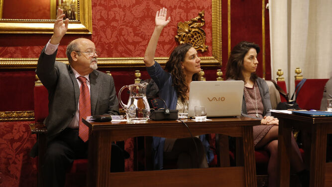 El equipo de Gobierno pidió un informe a Secretaría para solucionar el conflicto tras la división de Vamos Granada.