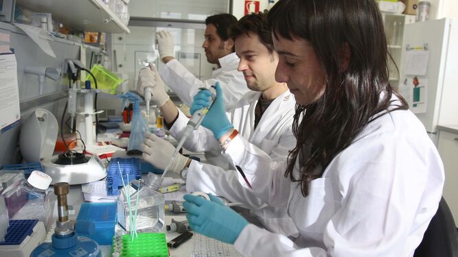 Investigadores en el centro oncológico granadino Genyo.