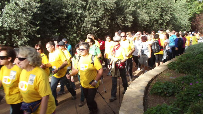 La IV Caminata Saludable de Granada,    este domingo
