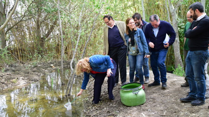 La alcaldesa de Motril, Flor Almón, participando en la reintroducción de los peces en la charca.