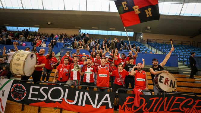 Los aficionados al baloncesto están de enhorabuena y más aún los que vivieron in situ la victoria en Pamplona.