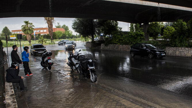 Contenedores flotando, inundaciones y calles anegadas, secuelas de la lluvia