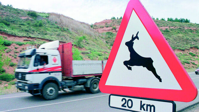 Los tramos en los que existe peligro por animales salvajes están señalizados.