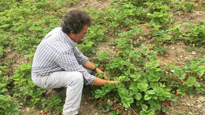 Un agricultor 'con vistas'Antonio pérez robles