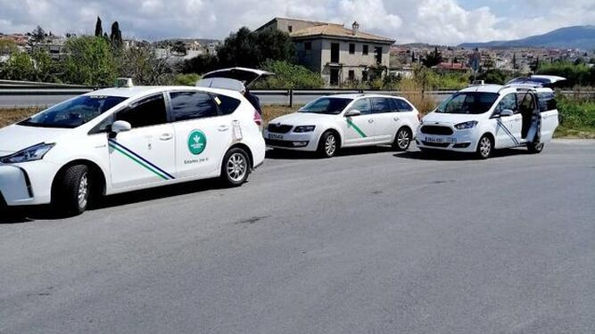 El Ayuntamiento de Monachil subvenciona un teléfono único y una app para pedir un taxi