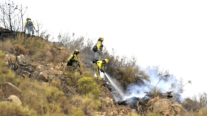 Imagen de archivo de bomberos forestales en la zona que ardió hace un año en Los Guájares.