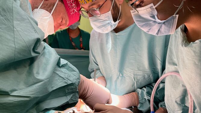 Un equipo quirúrgico durante la realización de un trasplante en un centro hospitalario.
