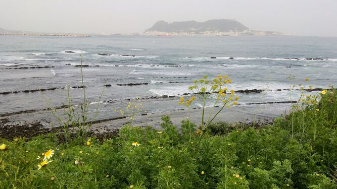 Vistas de la Bahía de Algeciras desde el Parque del Centenario.