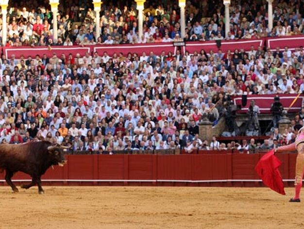 El Cid "llama" al toro, muleta en mano.

Foto: Juan Carlos Mu&ntilde;oz
