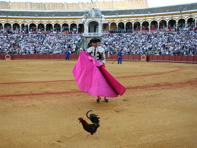 El Fundi "torea" a una invitada sorpresa: una gallina.

Foto: Juan Carlos Mu&ntilde;oz