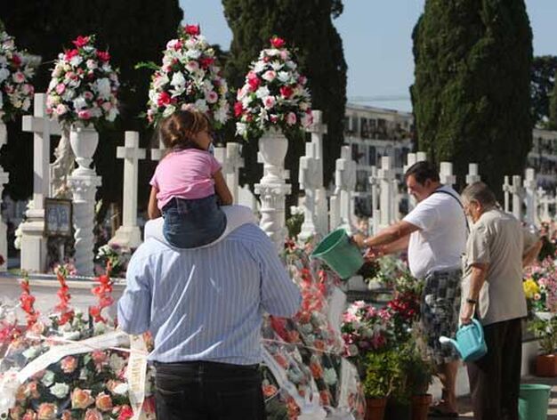 La excelente meteorolog&iacute;a y los atascos para llegar al cementerio marcaron el primero de noviembre en Jerez

Foto: J. C. Toro
