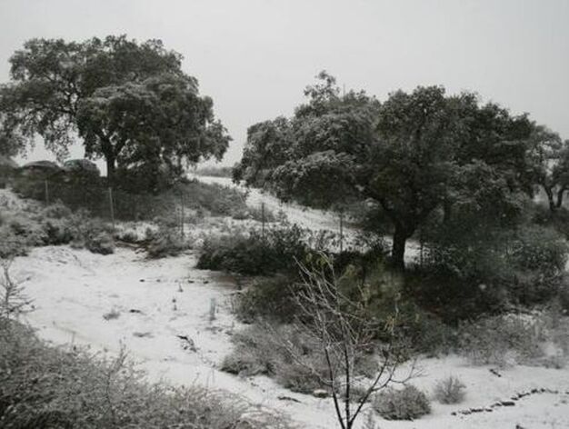 En las Pajanosas, todo nevado./ Jose Antonio P&eacute;rez Moreno