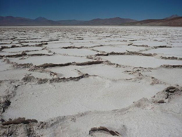 Una muestra de la aridez del Atacama.

Foto: Vistas del Atacama, el desierto m??do del mundo