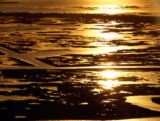 El petr&oacute;leo vertido en el Golfo de M&eacute;xico por una plataforma petrol&iacute;fera amenaza las costas estadounidenses de Luisiana.

Foto: Chris Graythen