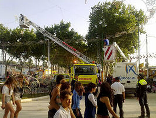 Bomberos retirando el alumbrado de la rotonda central de Las Banderas

Foto: Fito Carreto