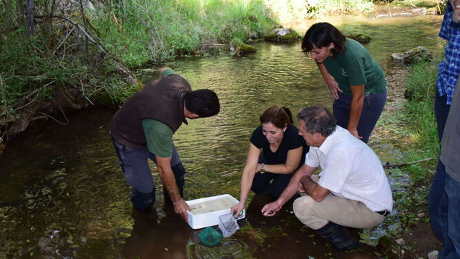 La delegada de Medio Ambiente, Inmaculada Oria, en una suelta de ejemplares en el río Fardes, en Huétor Santillán.