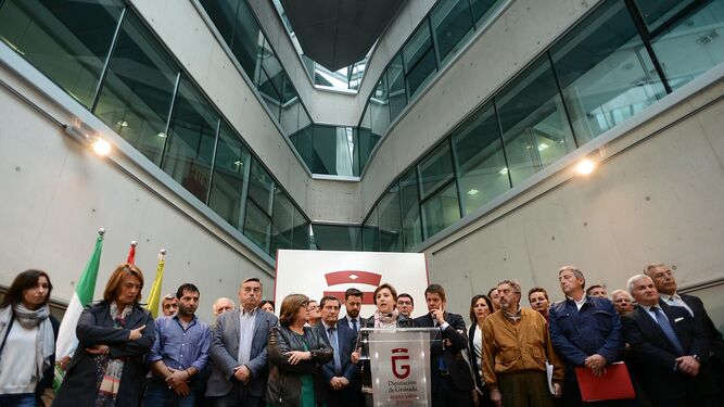 Los representantes se reunieron ayer en la sede de la Diputación en Granada.