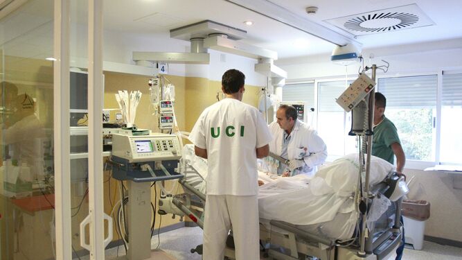 Granada ha realizado en cinco meses 22 trasplantes de riñón y 19 de hígado.