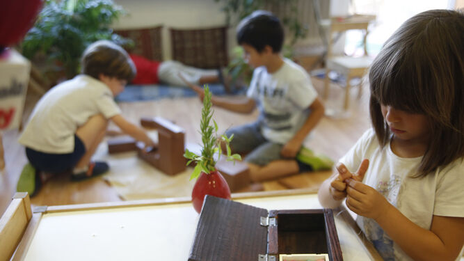 Montessori en el siglo XXIMontessori en el siglo XXI