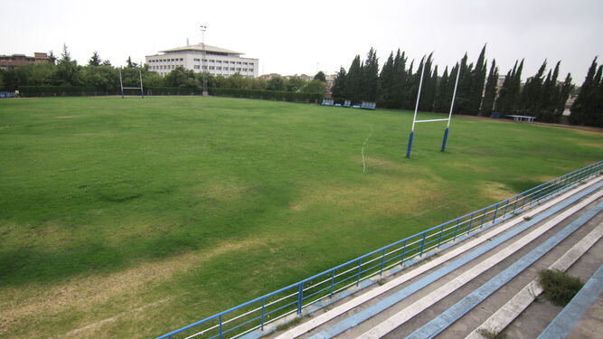 El ayuntamiento pretende edificar una torre de pisos en el campo de rugby de Fuentenueva.