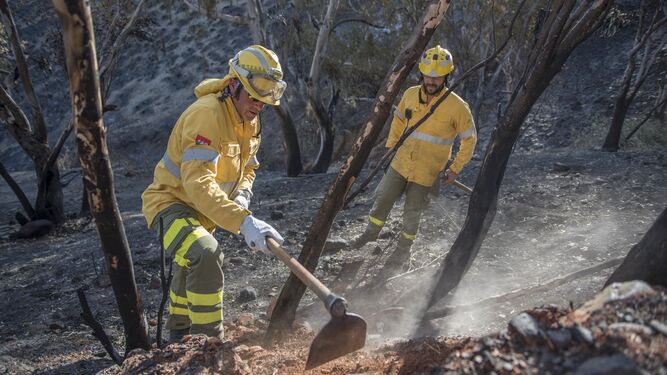 Bomberos forestales trabajan en la zona afectada por el incendio que cercó el cementerio de San José el pasado 13 de julio.