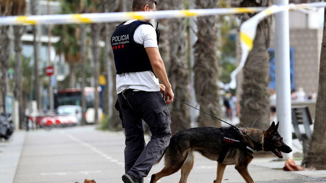 Un agente patrulla con un perro en una zona acotada.