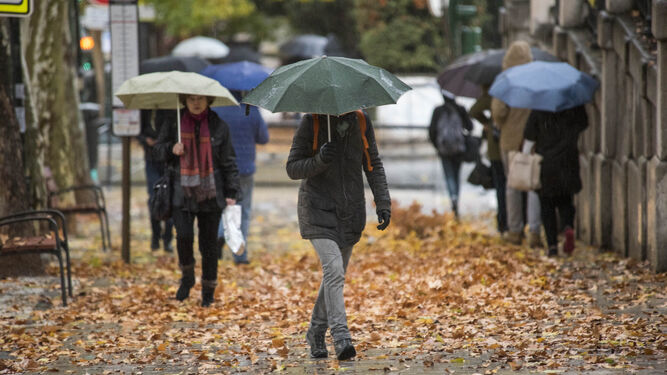 Granada cierra un mes de diciembre "normal" en temperaturas y precipitaciones tras tres estaciones con valores por encima de la media.