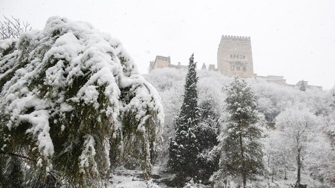 La nevada de Granada, en im&aacute;genes