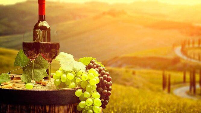 El vino es un paisaje embotellado.