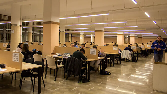 Puestos de estudio en la biblioteca Biosanitaria de la Avenida de Madrid.