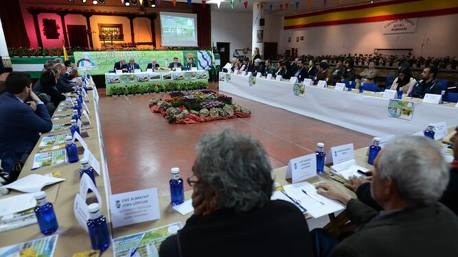Desarrollo de la mesa sobre desarrollo rural, sostenibilidad y futuro en la comarca de la Alpujarra.
