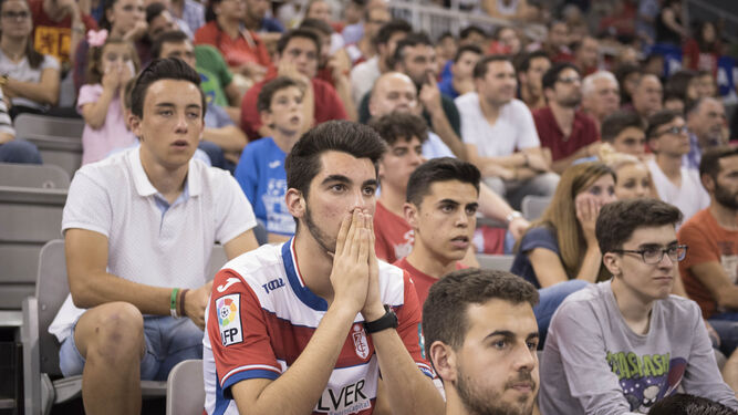 Un aficionado del Granada CF, preocupado durante un partido del Covirán.