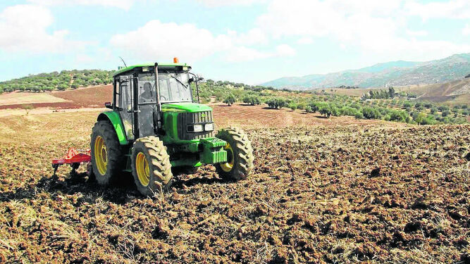 Un agricultor realiza labores agrícolas con un tractor  en el campo.