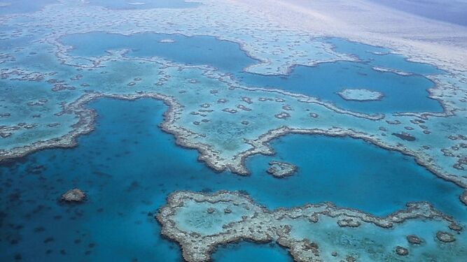 La Gran Barrera de coral australiana está sufriendo en la actualidad las consecuencias del cambio climático.